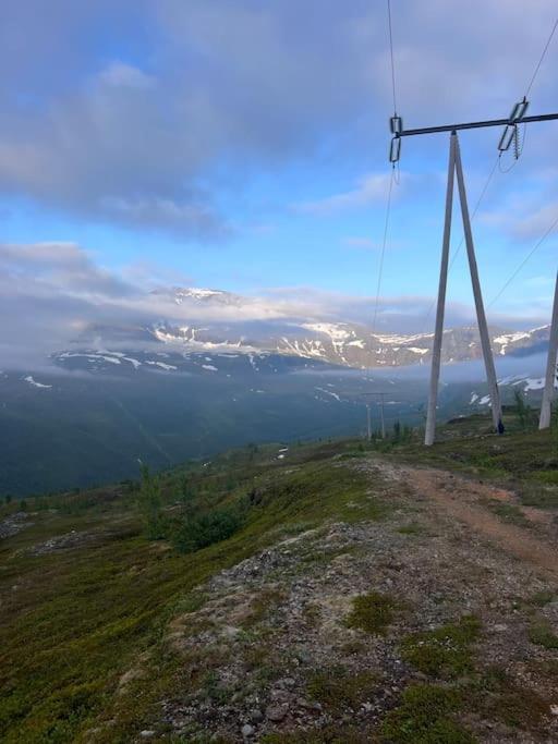 Tromso'S Best Location? City & Nature 5 Mins Away. Extérieur photo