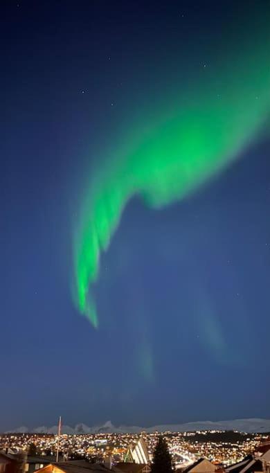 Tromso'S Best Location? City & Nature 5 Mins Away. Extérieur photo