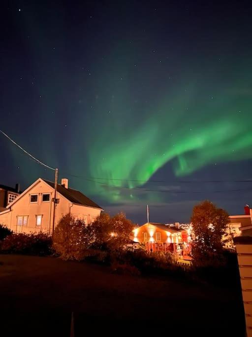Tromso'S Best Location? City & Nature 5 Mins Away. Extérieur photo